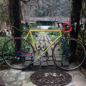 réplique d'un vélo de Pantani